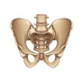 مشکلات کف لگن